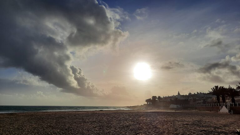 Een ontmoeting op het strand