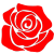 rose rose